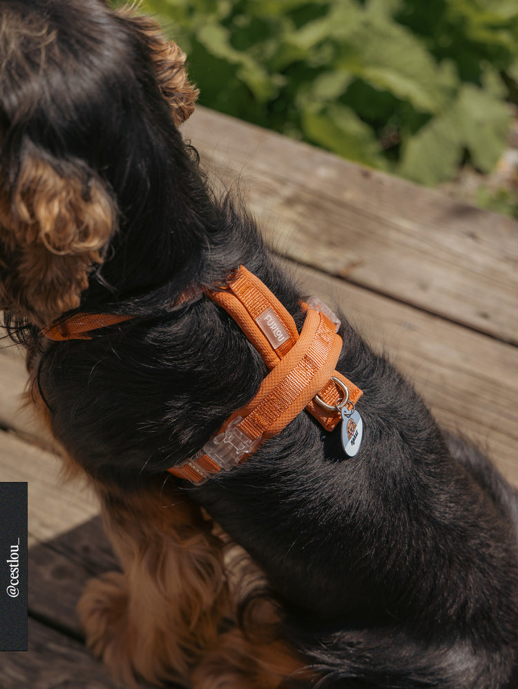 Comfort Harness – Terracotta