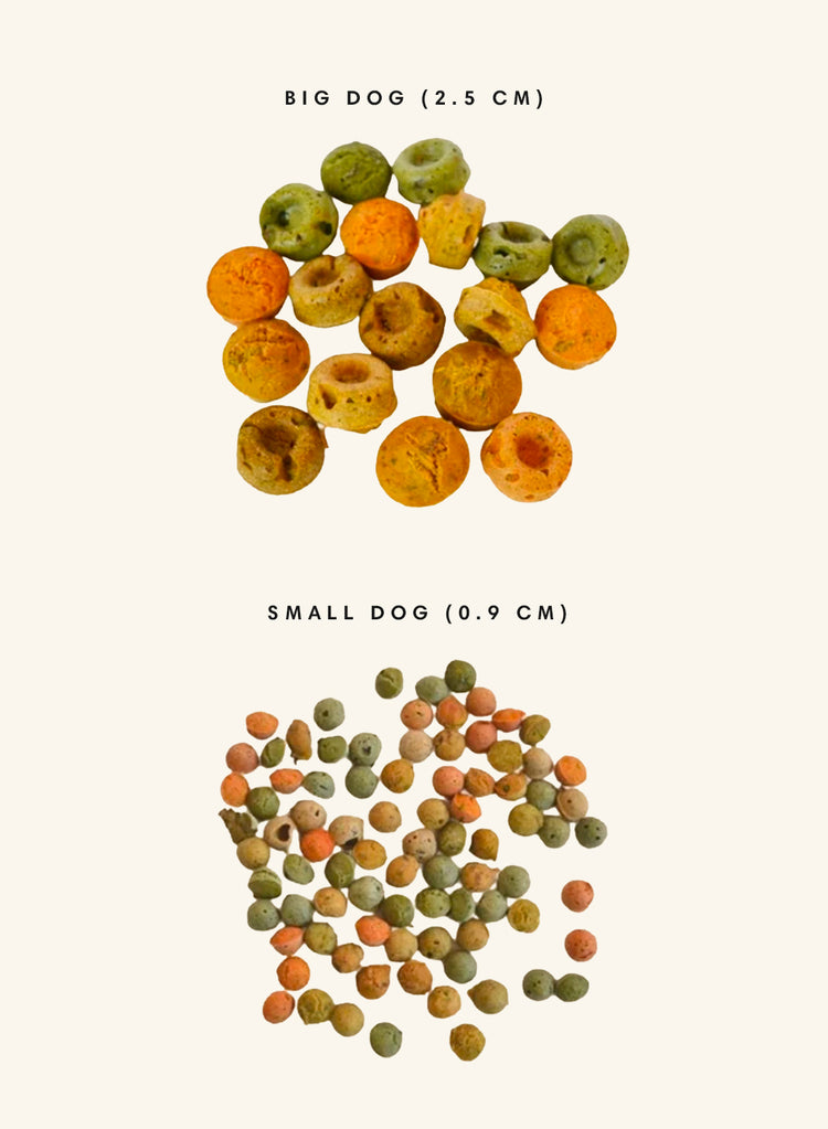 Calendario dell'Avvento per cani