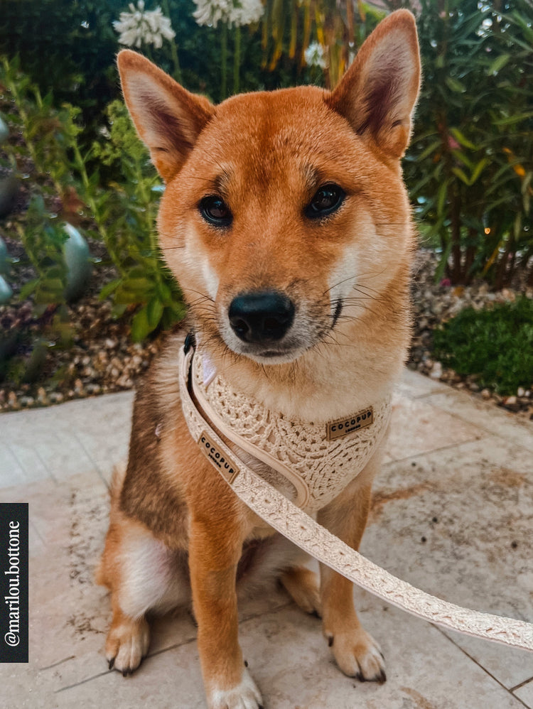 Festival Crochet Imbracatura