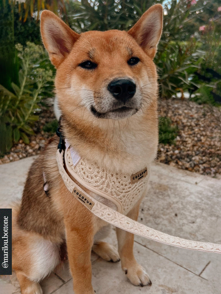 Festival Crochet Imbracatura