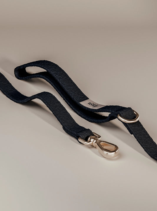 Laisse Bouclé – Midnight