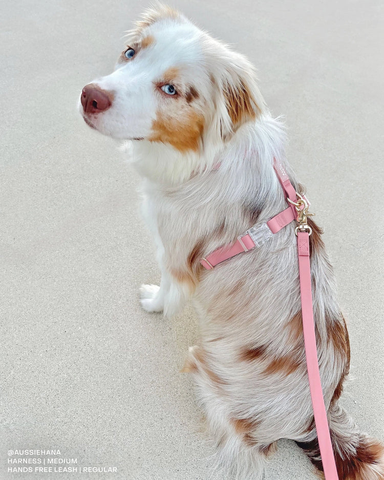 Harnais Cloud Lite – Rose