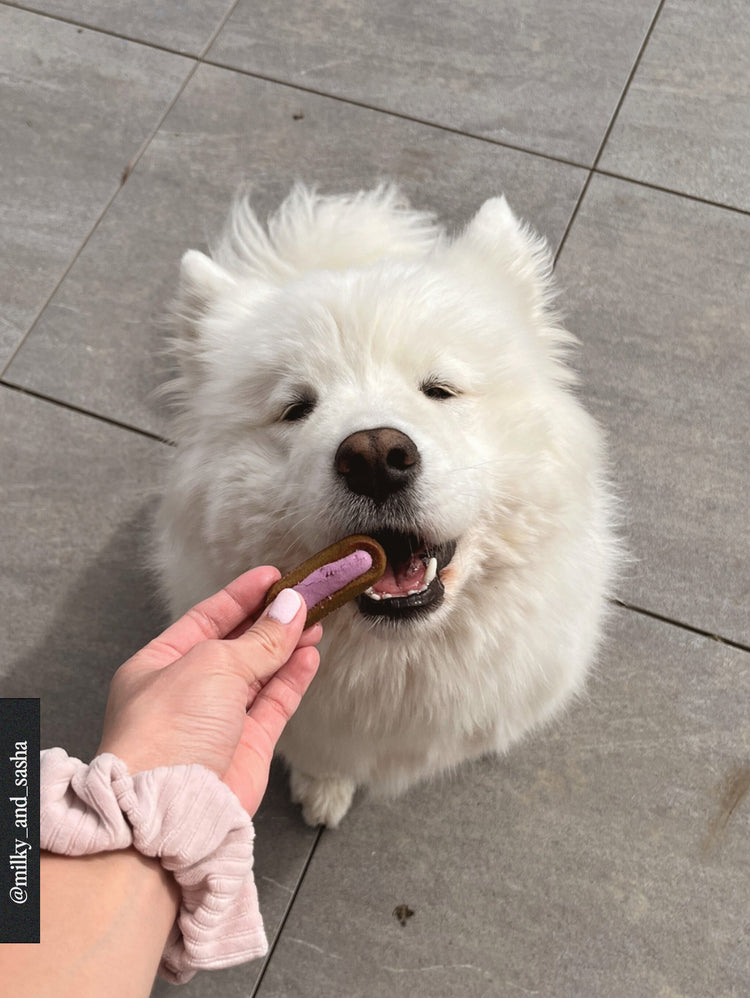 Box of 7 Moelleux - Healthy skin & silky coat