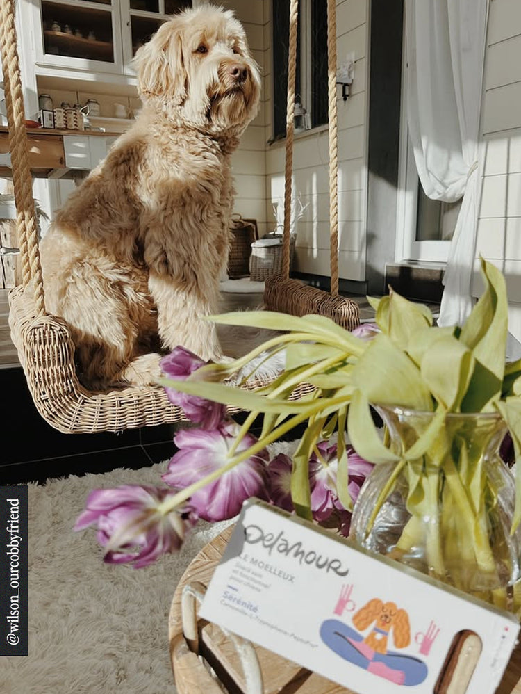 Box of 7 Moelleux - Serenity