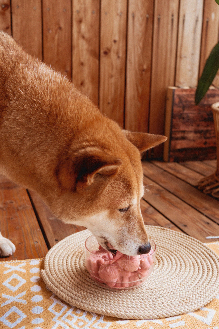 Dog eating ice cream from a glass bowl on a woven mat with a wooden floor background