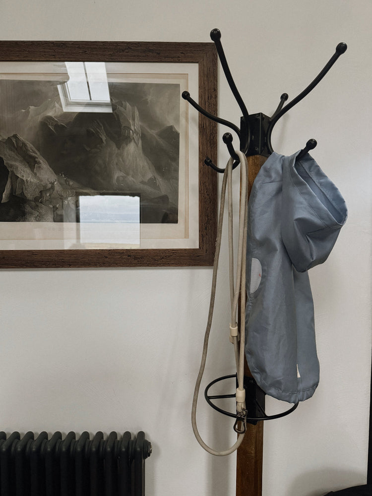 Dog leash and rain coat on a dog rack with a photo behind in a frame.