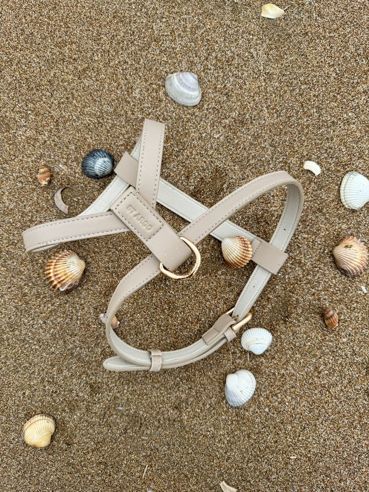 St Argo dog Taupe harness on a beach with shells.