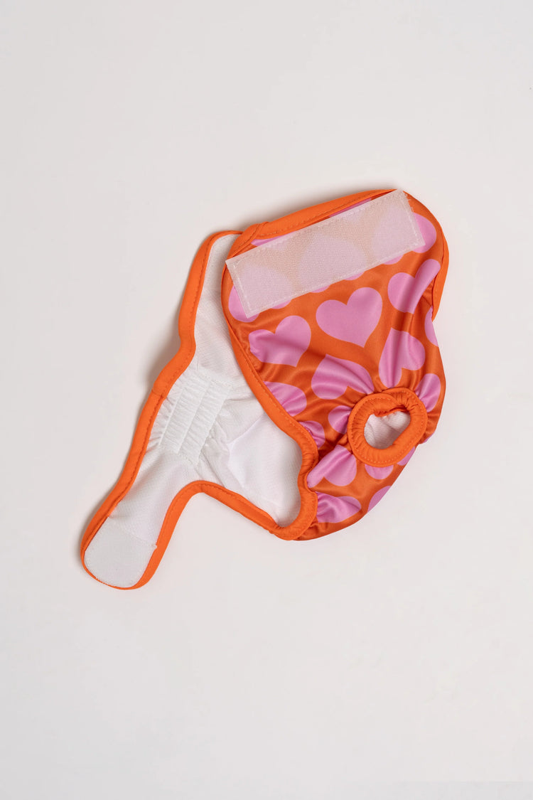Dog Period Panties Hearts