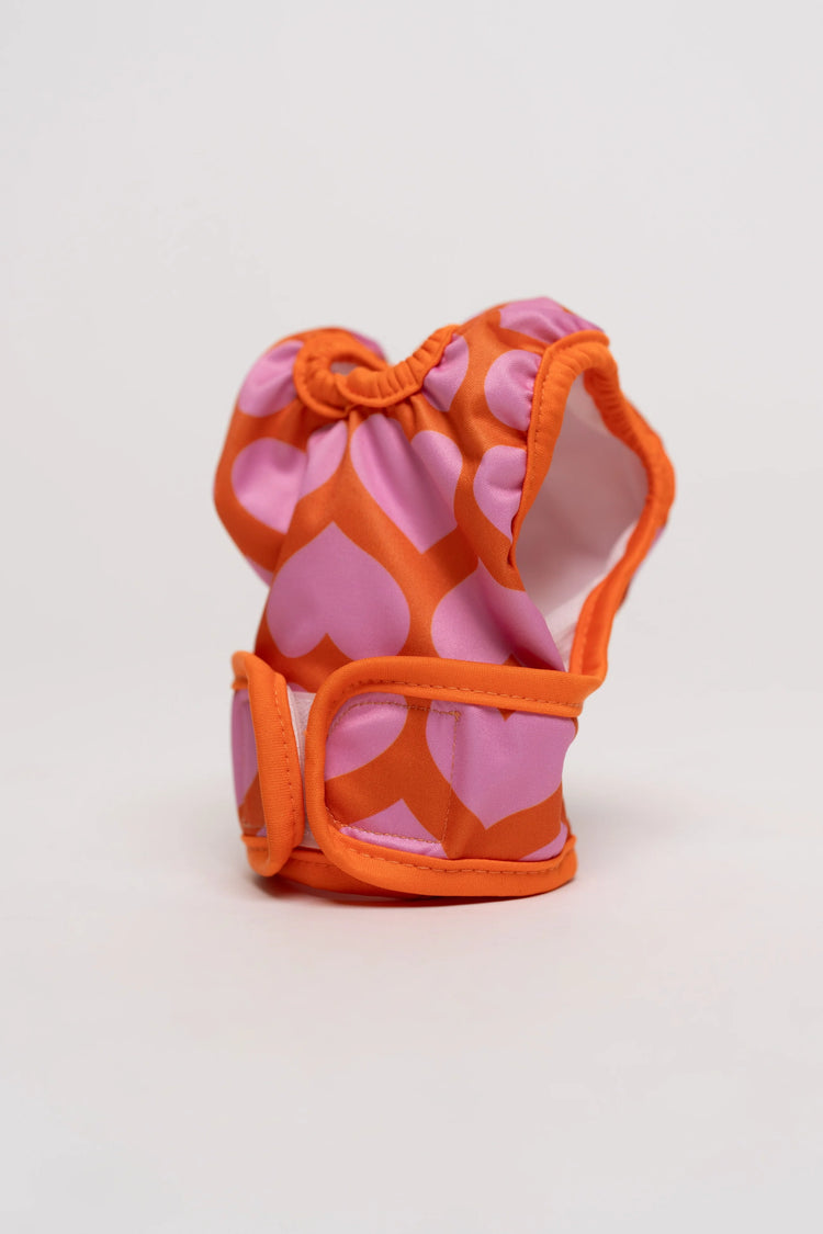 Dog Period Panties Hearts