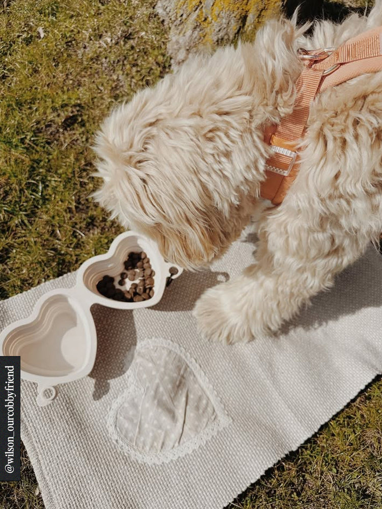 Heart Collapsible Bowl