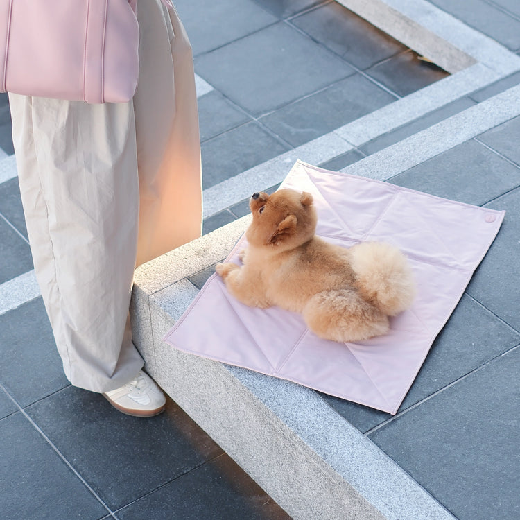 Light-Weight Travel Mat – Rose