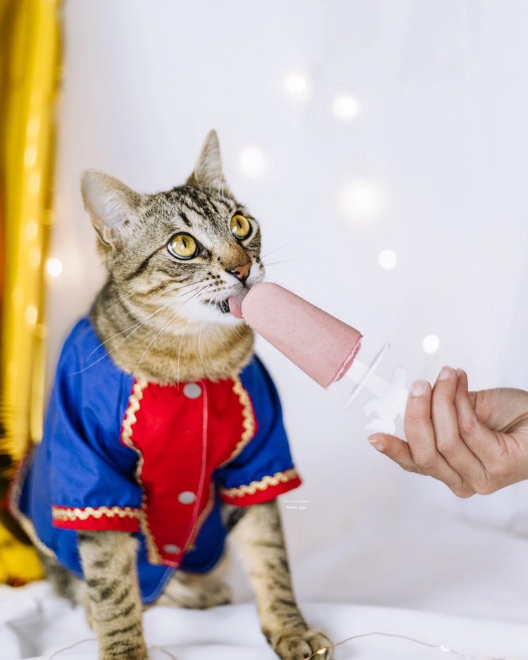 Ice-Cream Mix with Real Chicken & Strawberry For Pets