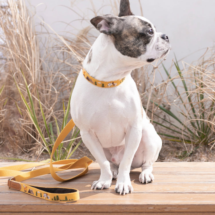 Sahara Collar - Kitsune & Jo