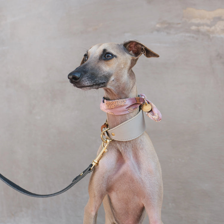 Necktie – Beurre de cacahuète