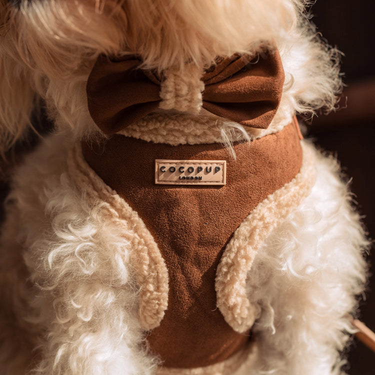 Aviator Harness – Brown