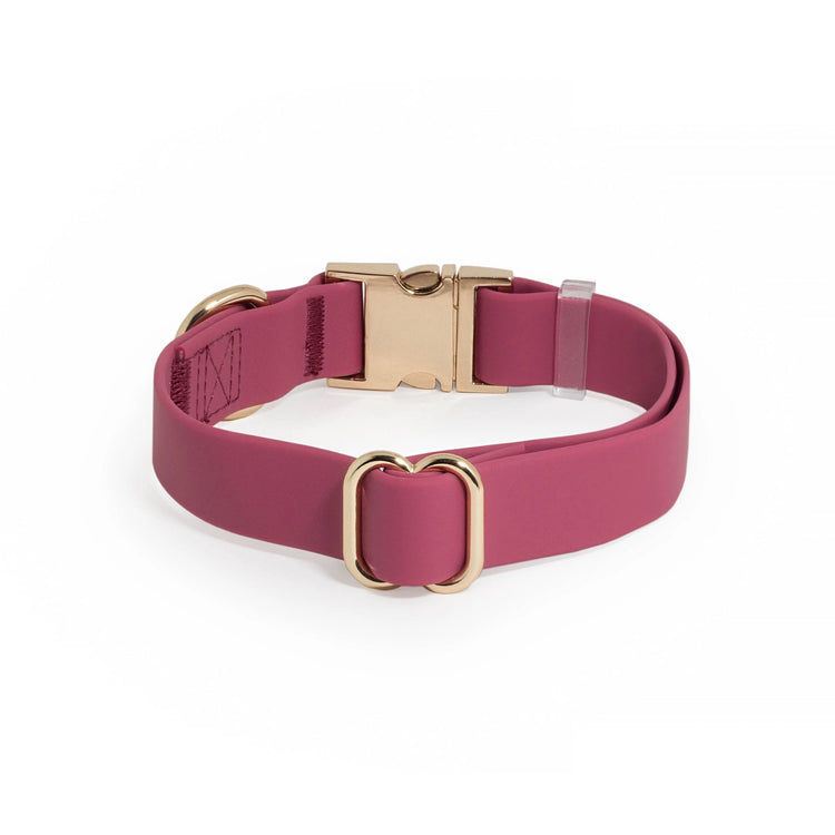 Mulberry Waterproof Dog Collar