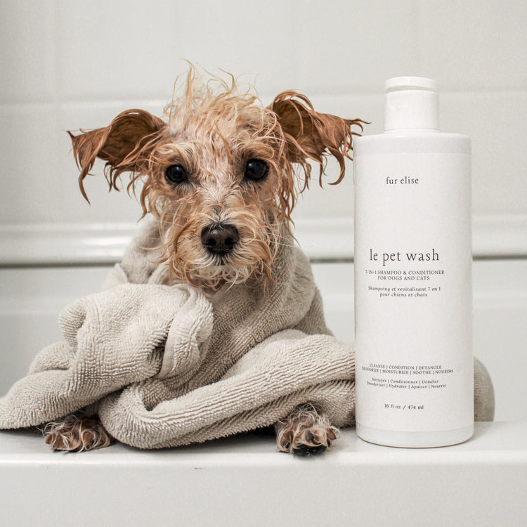 Le Pet Wash