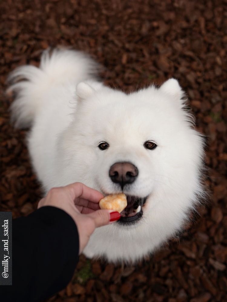 Poppy - Dés de fromage soufflés pour chien