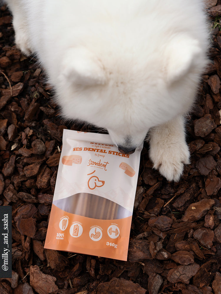 Stitch - Dental Chew Sticks For Dogs