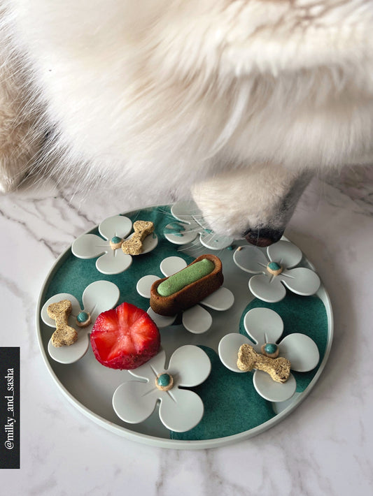 Box of 7 Moelleux - Oral and dental hygiene