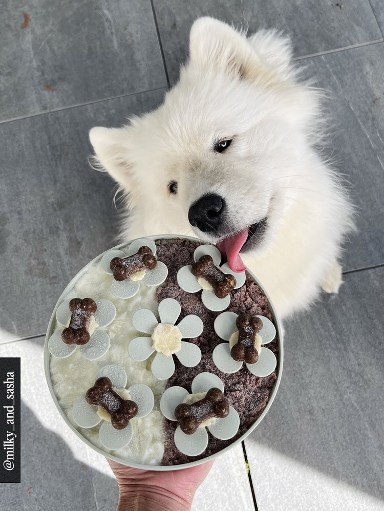 Snuffle Mat Flowers – Sage