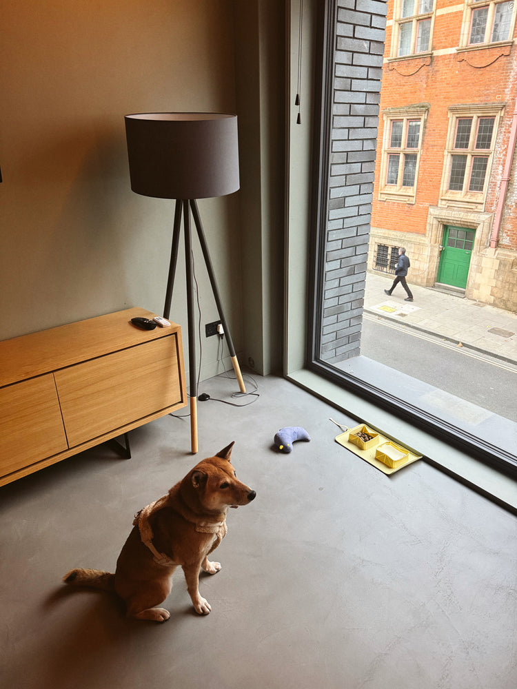 Foldable Duo Travel Bowl – Yellow