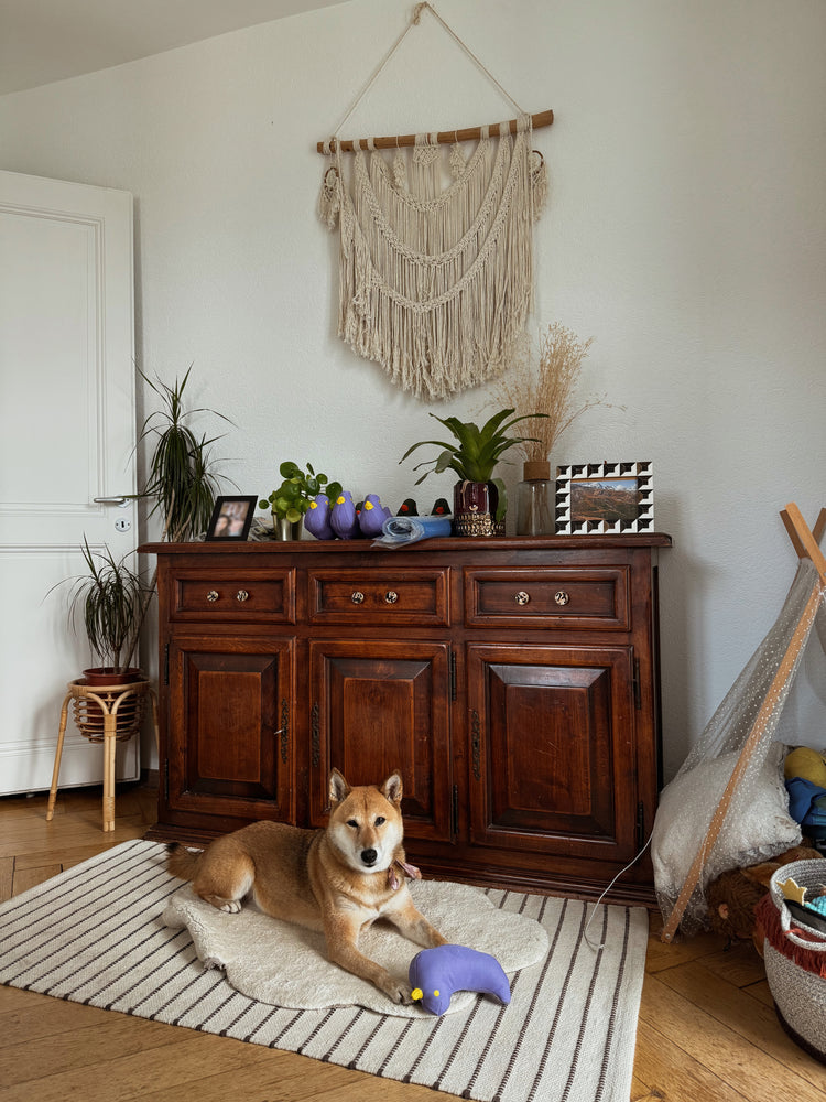 L'Uccello Fritz – Felice Viola