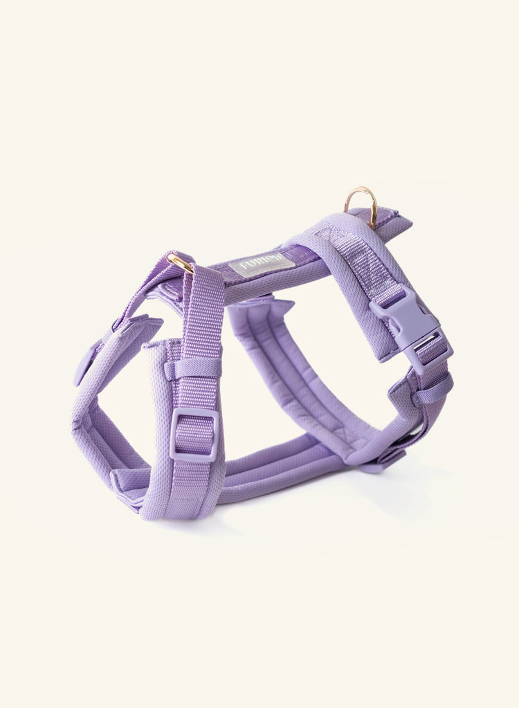 Purple dog harness from Furlou on a white background