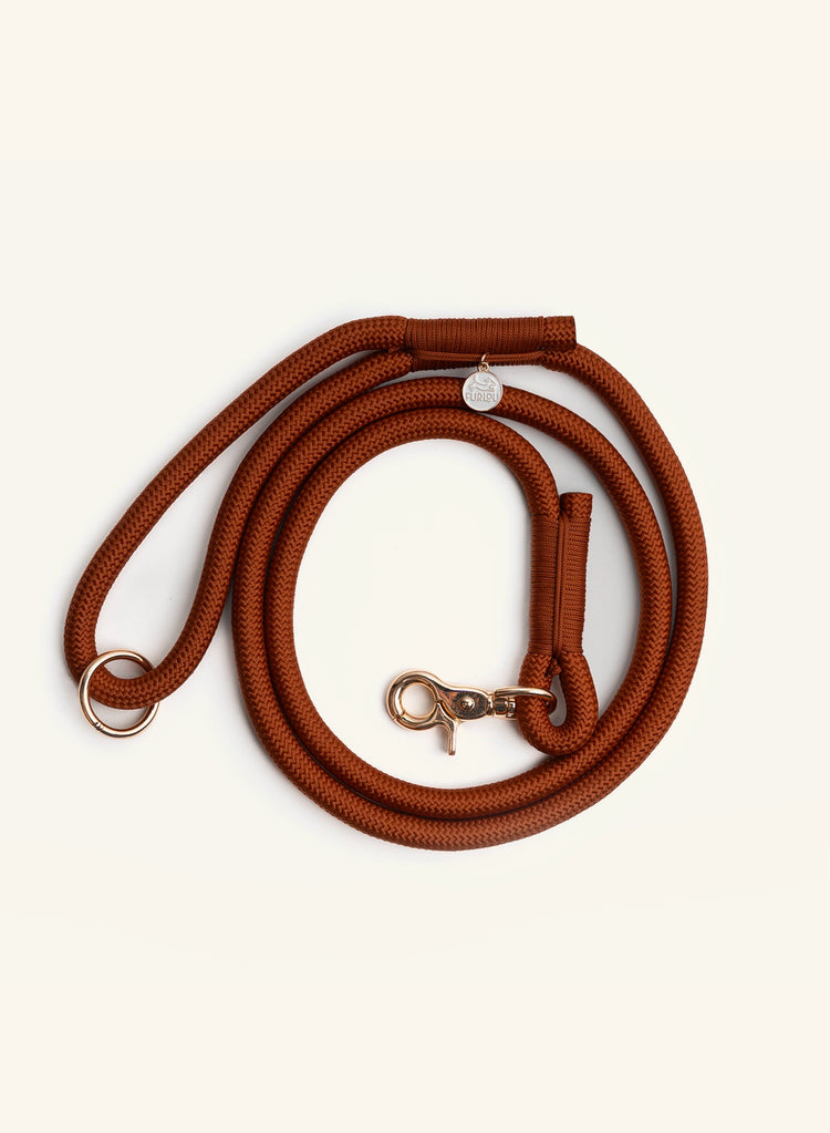 Brown dog leash with brass clasp on a beige background