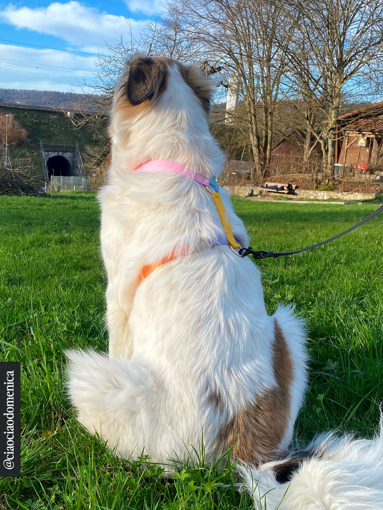 Imbracatura arcobaleno