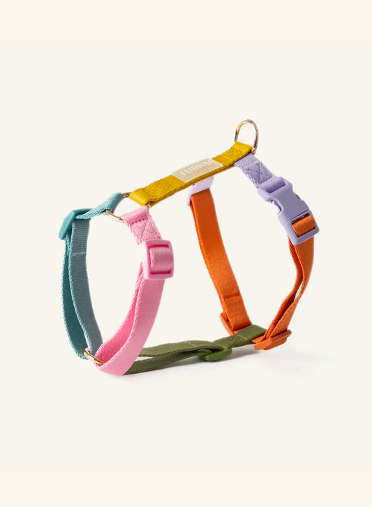 Rainbow dog harnesses from Furlou on a white background