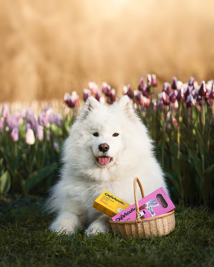 Box of 7 Moelleux - Immunity