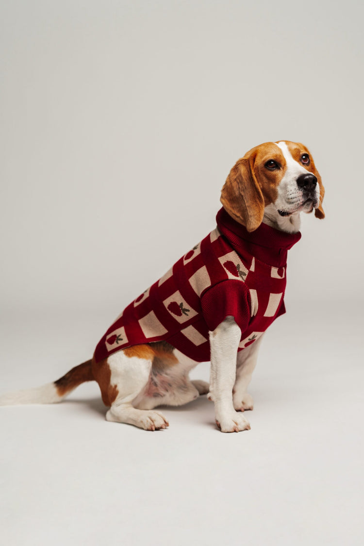 Strawberries Sweater