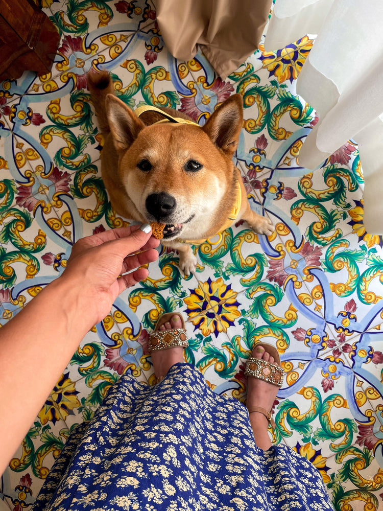 Flower Power - Kitsune & Jo