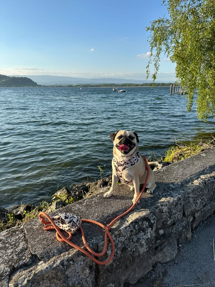 Drawstring Treat Pouch - Ivory Tort