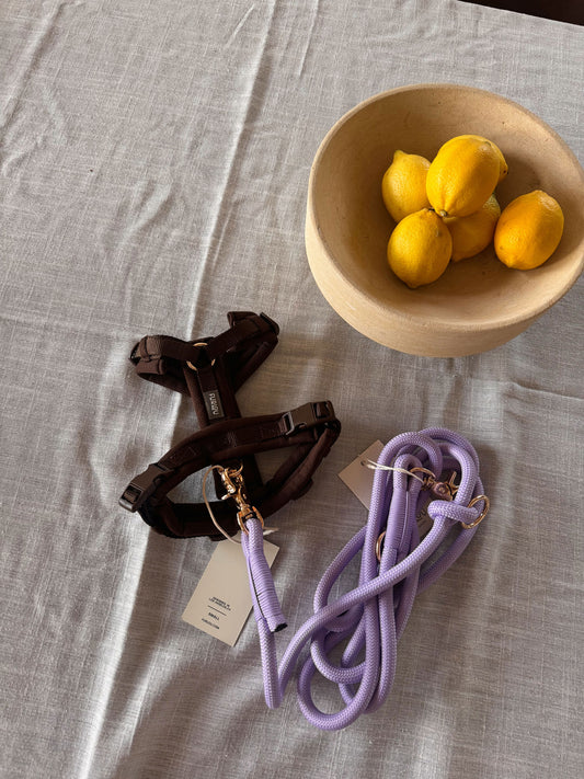 Harnais Comfort – Brun