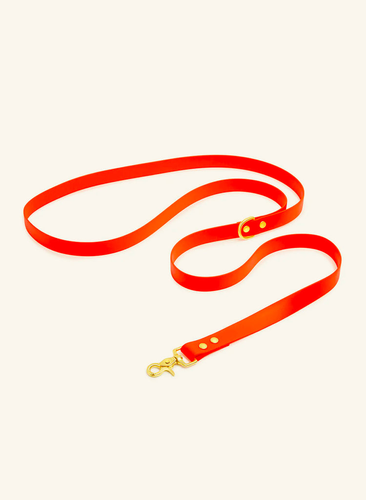 Red dog leash with a gold clasp on a white background