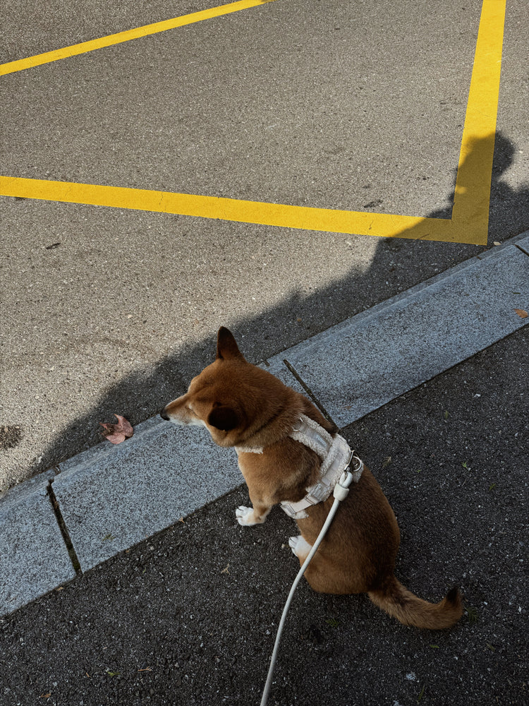 Sherpa Harness – Sand