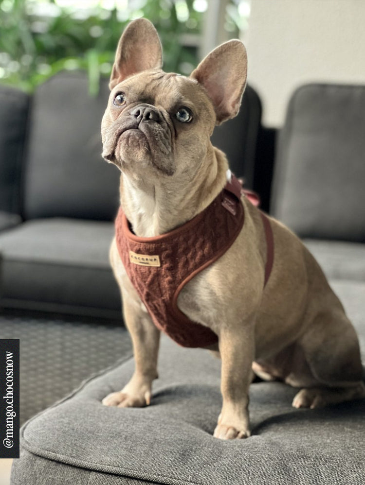 Cable Knit Jumper Harness – Heiße Schokolade