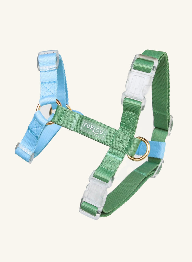 Imbracatura Lake Day