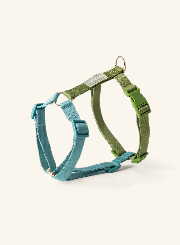 Lake Day Hundegeschirr