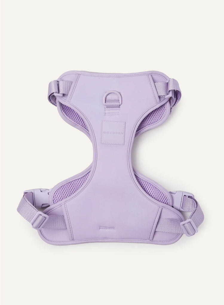 Doppeltes Hundegeschirr – Lavendel