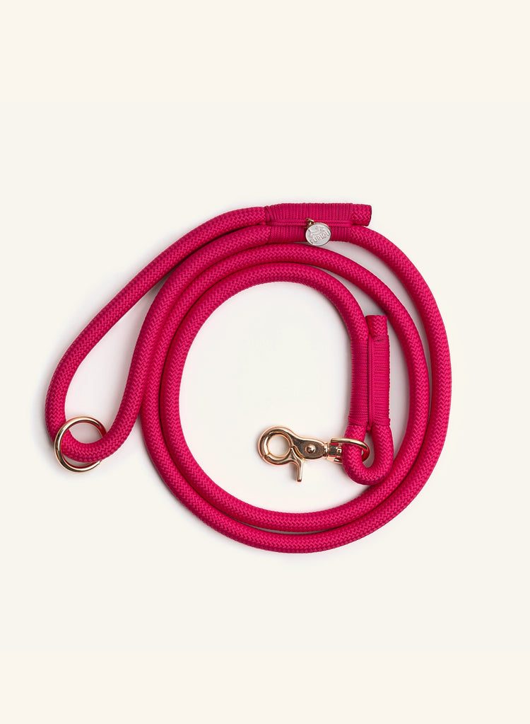 Pink dog leash with gold clasp on a white background
