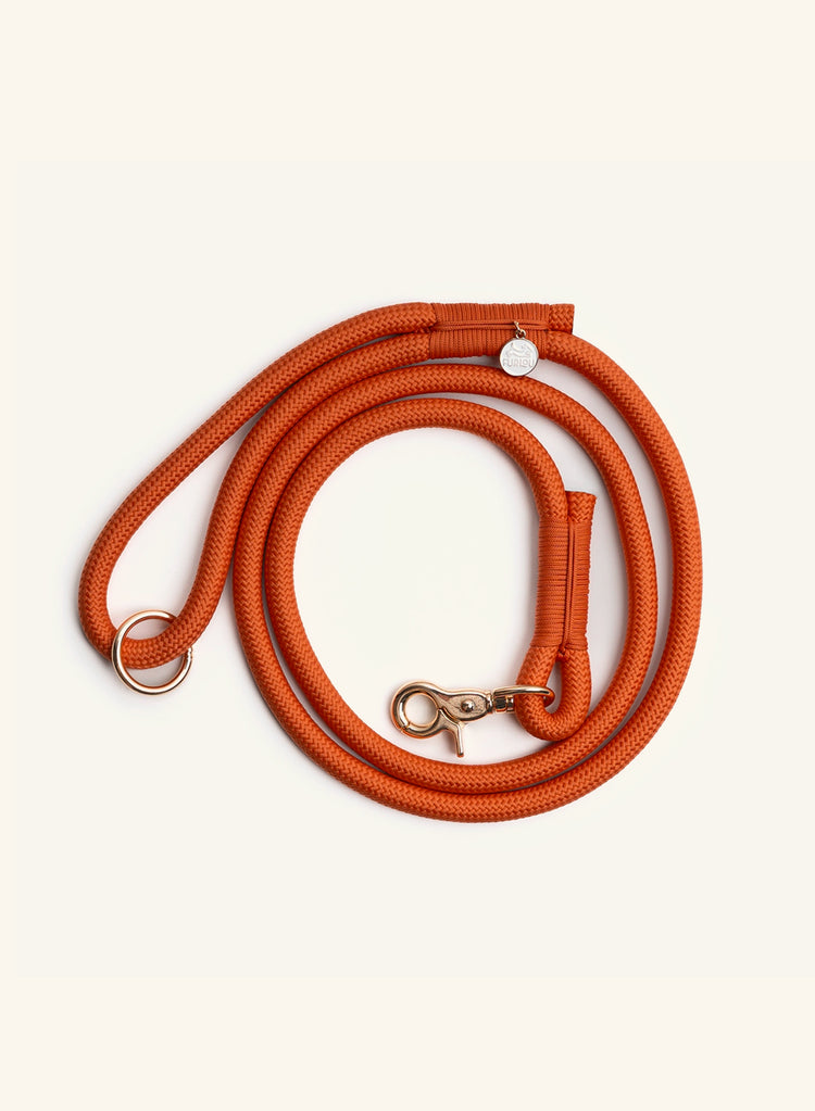 Braided Rope Leash – Terracotta