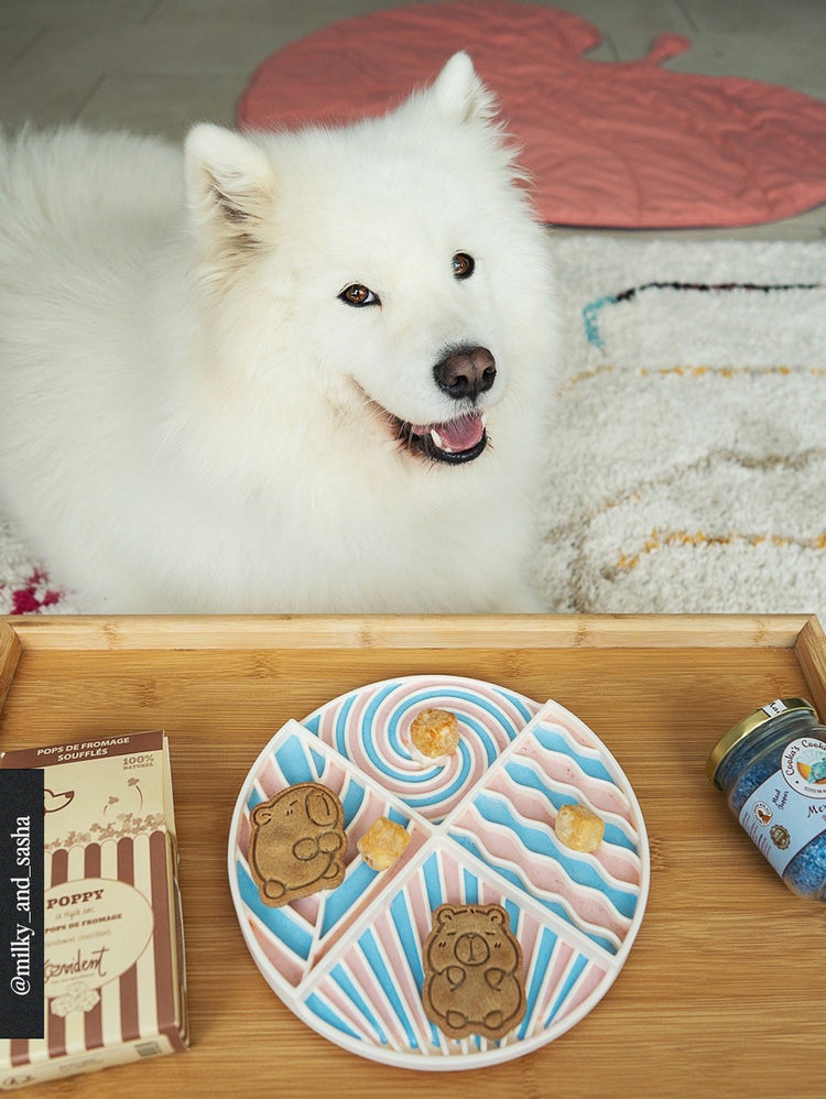 White dog sitting behind a wooden tray with a lick mat, Poppy cheese box and Murmaid treats jar.