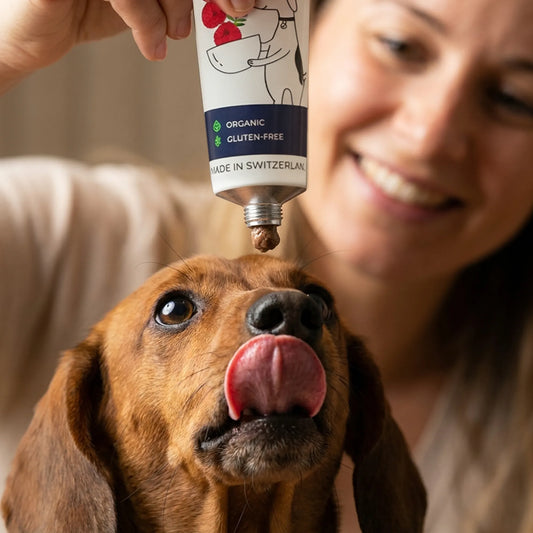 Lamb Dog Paté