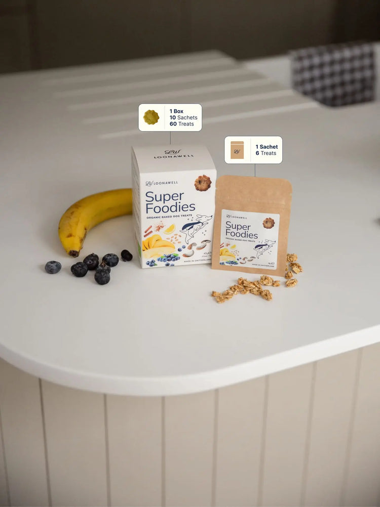 Super Foodies – Friandises bio cuites au four pour chien