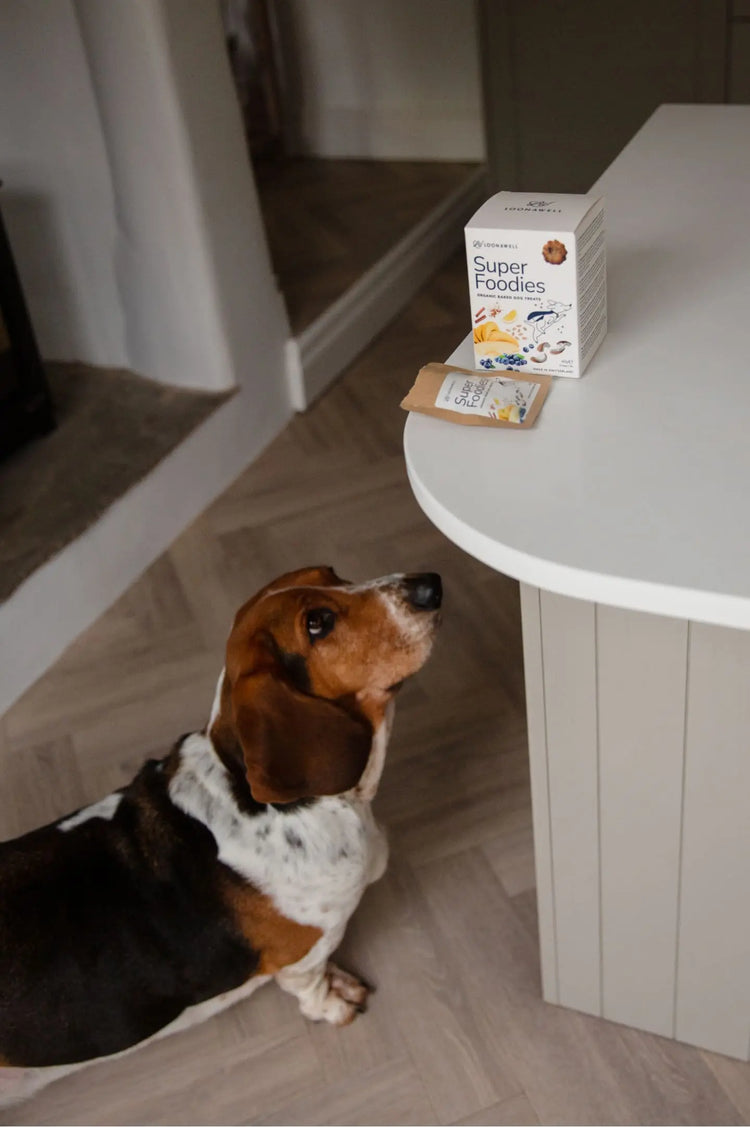 Super Foodies – Friandises bio cuites au four pour chien