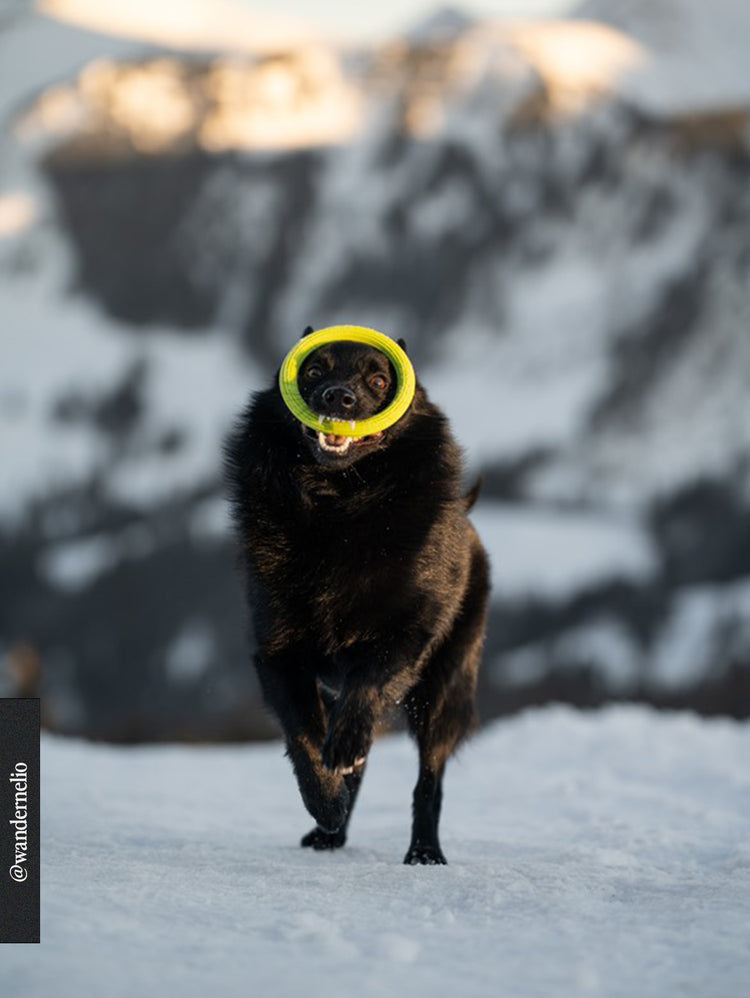 Giocattolo ad anello – Lime