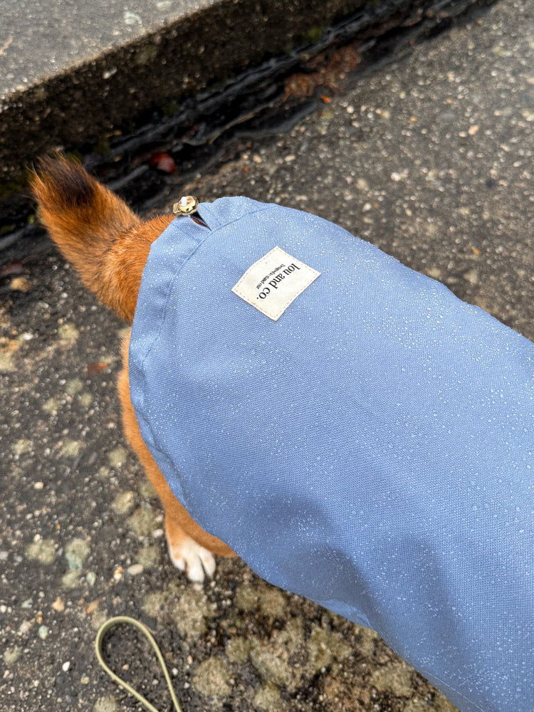 Back of a dog with a blue coat and the tag brand Lou and Co.